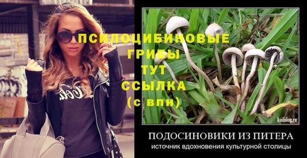 спайс Алзамай