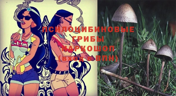 спайс Алзамай