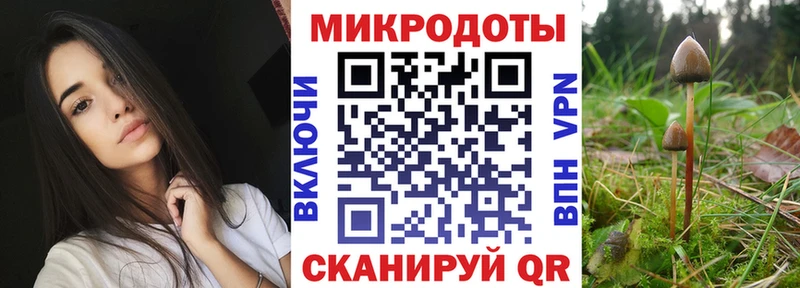 Псилоцибиновые грибы прущие грибы закладки Ясный